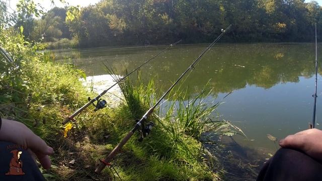 Начался Осенний ЖОР Щуки на реке Сок Рыбалка в Самарской области