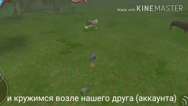 ? топ 3 способа забагать Тигона в Wild Craft! ? смотреть онлайн
