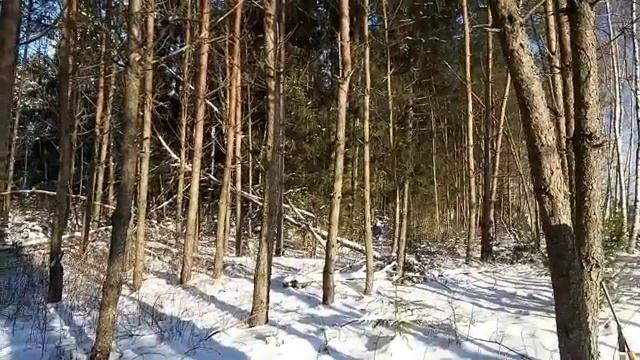 Охота с гончими 2024 смотреть онлайн