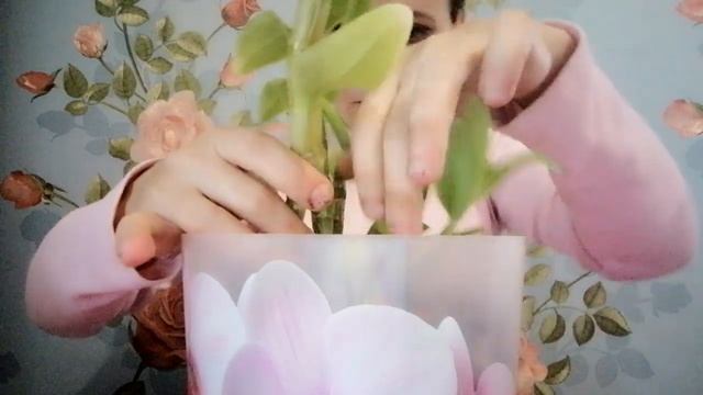 Сажаю 2 дендробиума в один горшок. смотреть онлайн