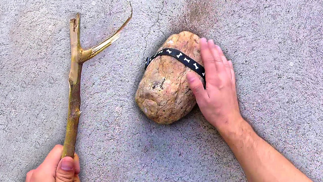 Каменный Питомец