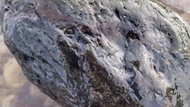 Нашли огромный окатышь зеленого Нефрита 80-100кг!!! Поиск, добыча камня, галька смотреть онлайн