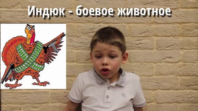Интересные факты про индеек смотреть онлайн