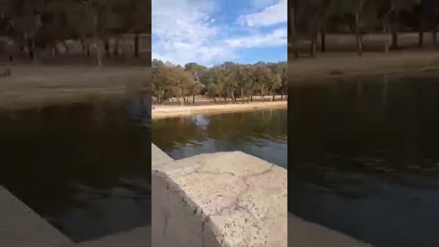 Перт (Австралия) смотреть онлайн