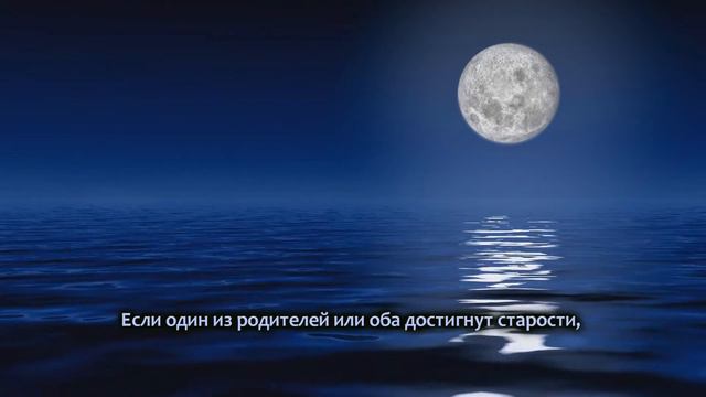 Yasser ad-Dosari | Сура 17. Ночной перенос (al-Isra) 23-24 смотреть онлайн