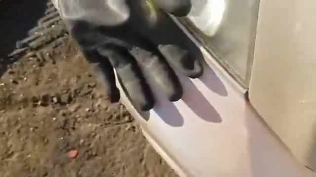 Двигатель Хонда B20Z1 CR V