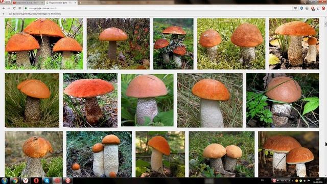 Виртуоз в Поварской Шапке