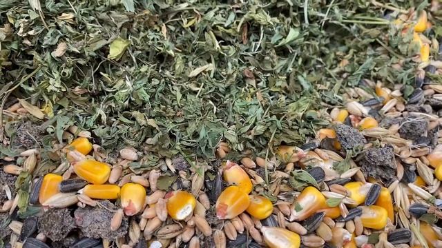 Комбикорм Дорожает//Корм для кур несушек//Корм для перепелов несушек//Состав самодельного корма. смотреть онлайн