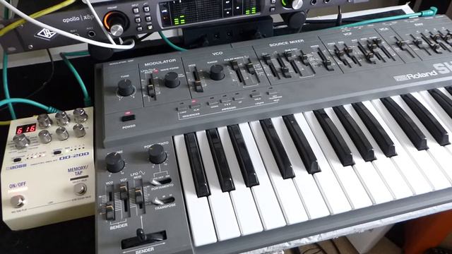 Roland SH101 & Boss DD200 Digital Delay смотреть онлайн