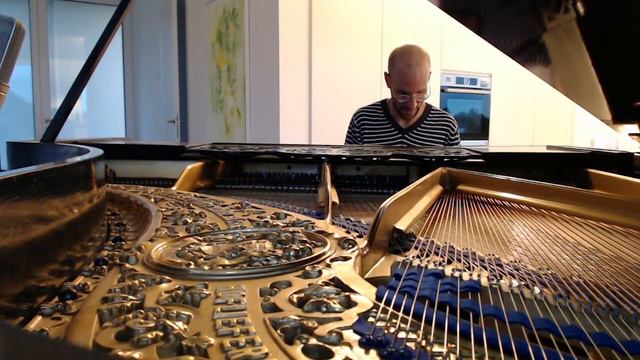 #46 of 10.000 Blüthner Grand Piano Pieces смотреть онлайн