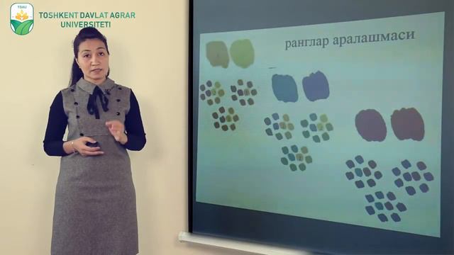 Mavzu Kompozitsiyada ranglar uyg'unligi смотреть онлайн