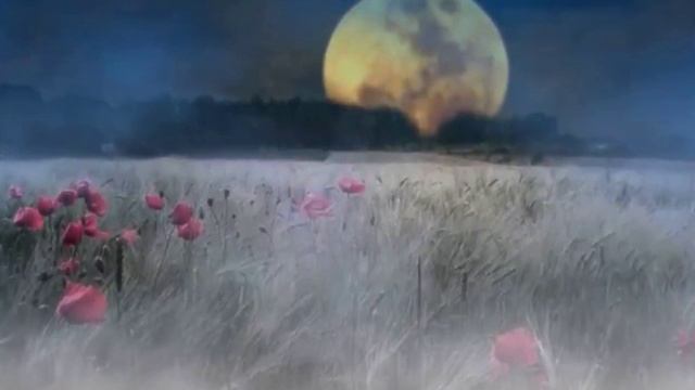 Misty Nights - Francisco Garcia смотреть онлайн