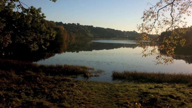 G.F.Händel-Sonata for Bassoon, Cello and String orchestra op.8. смотреть онлайн