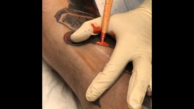 Миша сом тебори