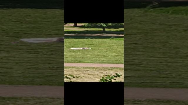 Зачем нам берег турецкий?!)))