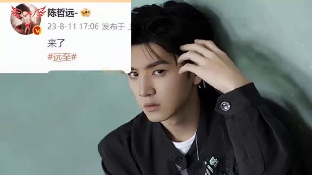 赵露思以公主风亮相，身穿白色连衣裙，梳着俏丽的发髻，陈哲妍在慈善活动中为青年艺术家树立了光辉的榜样。#zhaolusi #chenzheyuan #赵露思 #陈哲远