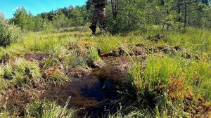 ОПУСТИЛ МОРМЫШКУ в ЧЕРНУЮ ВОДУ и ЗАГНУЛО КИВОК! Рыбалка на боковой
