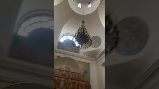 11 февраля 2024 г. Береза, святая икона Собор небесных покровителей Лавр Святой Руси смотреть онлайн