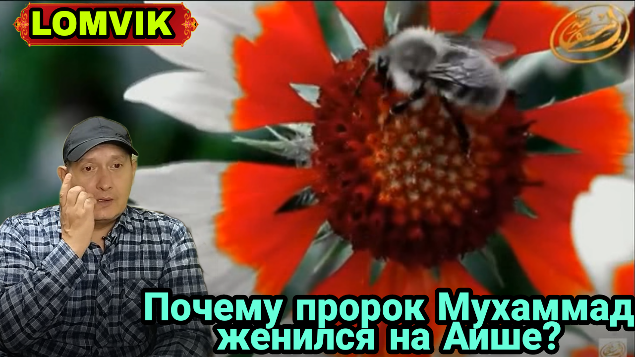 Почему пророк Мухаммад ﷺ женился на 9 летней Аише смотреть онлайн