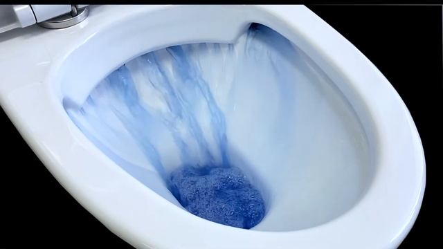 Каскадный смыв унитаза-моноблока EvaGold смотреть онлайн