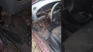 Kia spectra не запускается. Демонтаж автосигнализации и отключение иммобилайзера