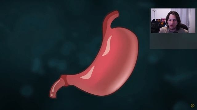 How to BURST YOUR STOMACH смотреть онлайн