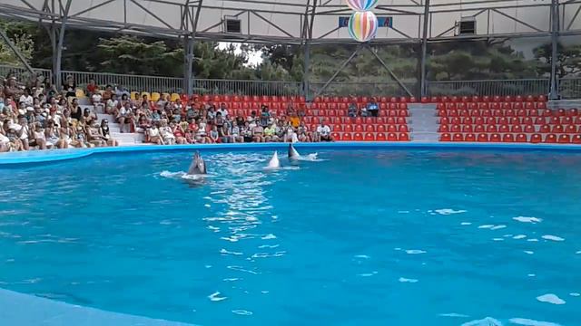 АЛУШТА...ДЕЛЬФИНЫ!!! смотреть онлайн