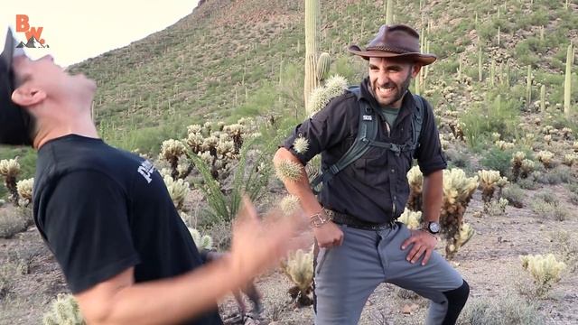 EXTREME Cactus Attack! смотреть онлайн