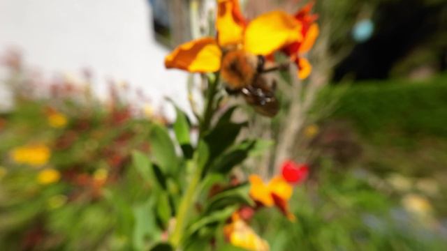 Ostergarten смотреть онлайн