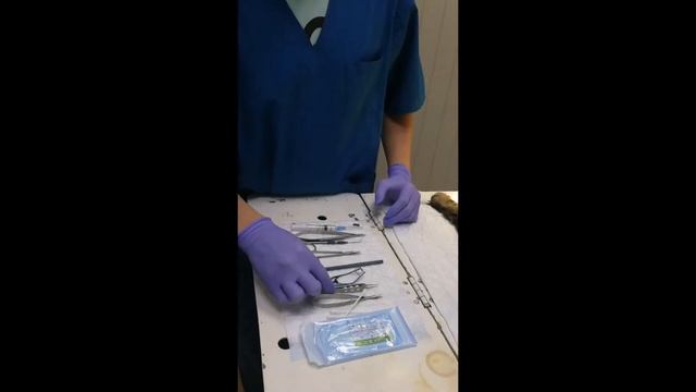 Исправление заворота века у Мэйн куна смотреть онлайн
