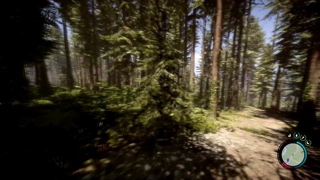 Сравнение графики в Sons Of The Forest | #sonsoftheforest