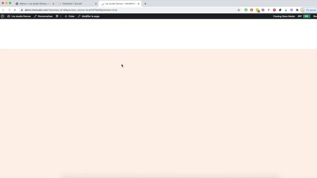Changer les polices d'un Template kit Elementor WordPress de Liw studio смотреть онлайн