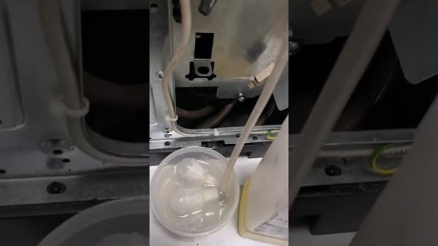 Промывка молочной системы..mp4