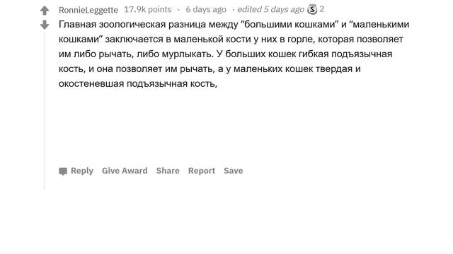 САМЫЕ БЕСПОЛЕЗНЫЕ ФАКТЫ ? смотреть онлайн