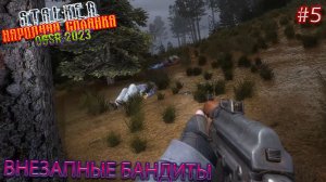 ВНЕЗАПНЫЕ БАНДИТЫ | STALKER НАРОДНАЯ СОЛЯНКА OGSR 2023 | Серия 5