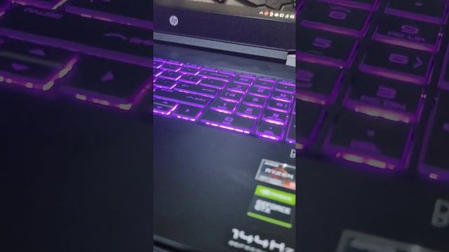 HP Pavilion ryzen 5 5600h ⚡ GTX 1650 + 144hz смотреть онлайн