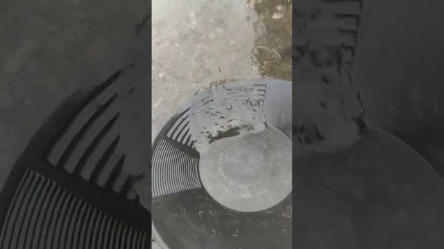 Зимове золото/Winter gold смотреть онлайн