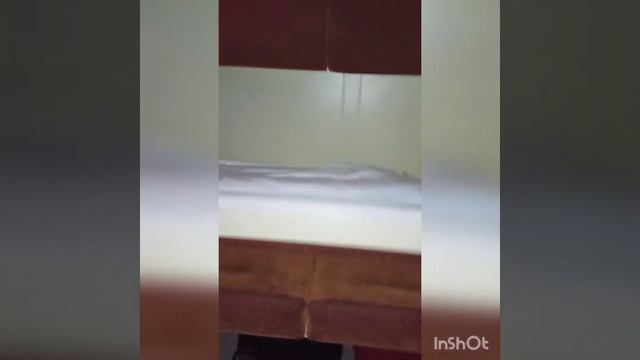 поезд 25 Воронеж- Москва комфортно и быстро. смотреть онлайн