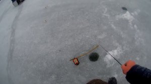 Влияние атмосферного давления и погоды на клёв окуня  Ловля окуня зимой на зимняя рыбалка 2022