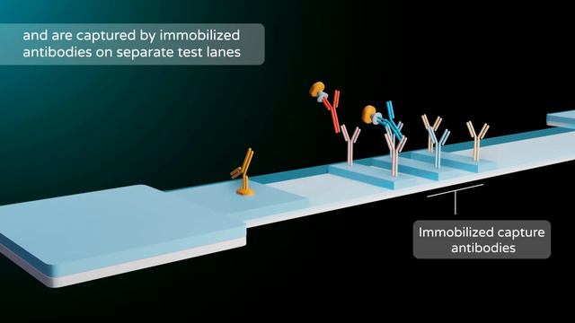Lateral flow device for the detection of antibodies formed upon SARS-CoV-2 infection смотреть онлайн