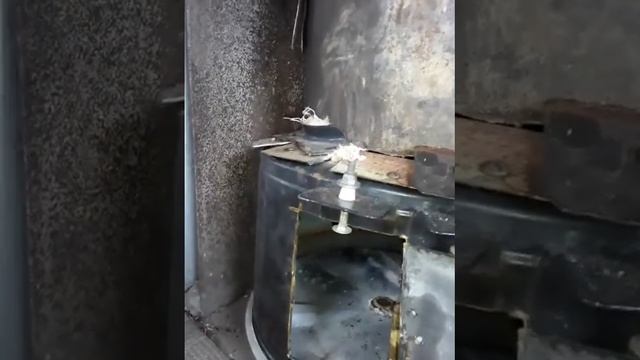 печка в баню изготовлена из баков стиральных машин смотреть онлайн