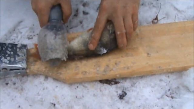 Чистка окуня зимой EFS1 смотреть онлайн