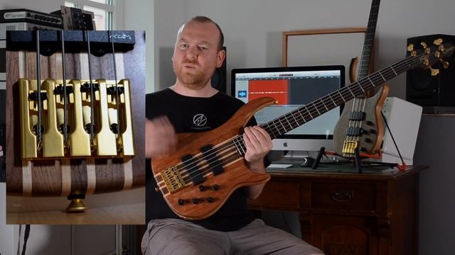 PEAVEY CIRRUS BASSES - Walnut & Bubinga