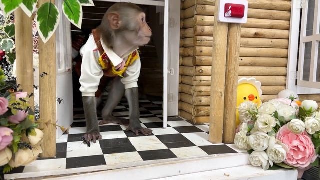 Monkey Baby Bim Bim Meets The Ants Go Marching And Eats So Yummy Popcorn With Baby Monkey Obi