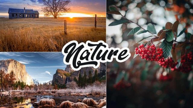 Professional Photoshop Actions: 4 IN 1 Photoshop Actions Bundle смотреть онлайн