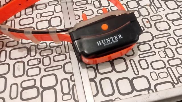 Hunter DTR 25000 Pro ошейник смотреть онлайн