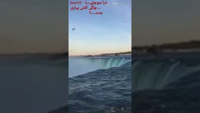 mdname50@gmail.com смотреть онлайн