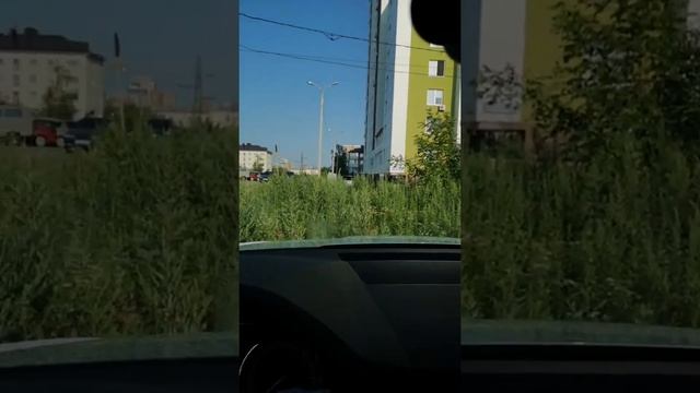 Ремонт скола на лобовом стекле шкода кодиак смотреть онлайн