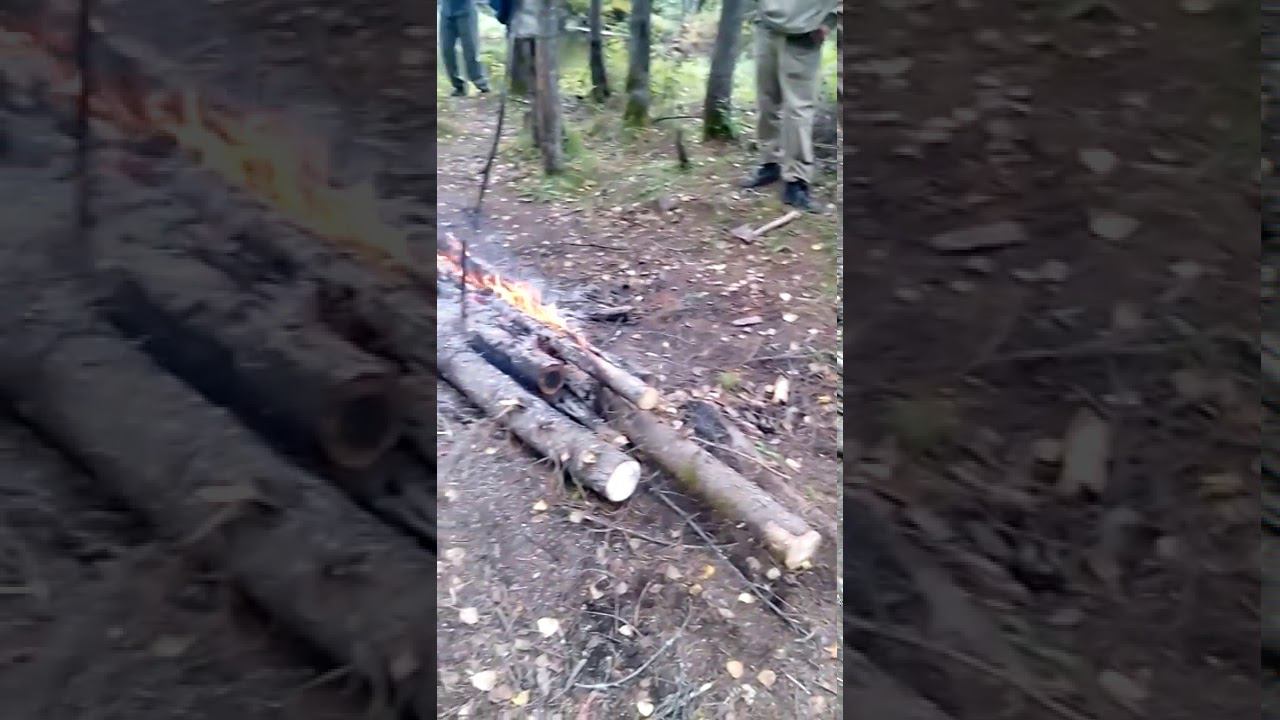 Не все люди свиньи (Часть вторая) смотреть онлайн