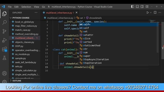 ? Unlocking Python's Power: Exploring Multilevel Inheritance! ?? # 40?? #PythonInheritance смотреть онлайн